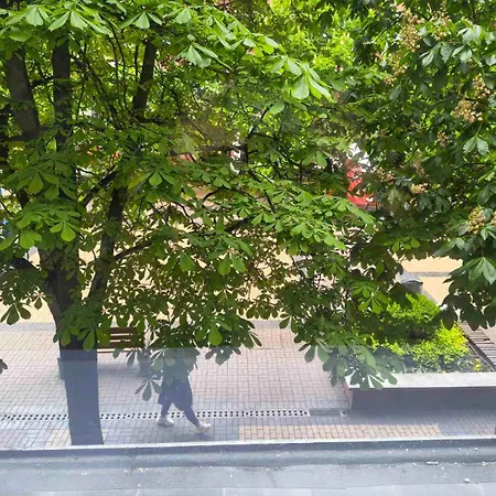 The Brave Tailor Bauhaus София